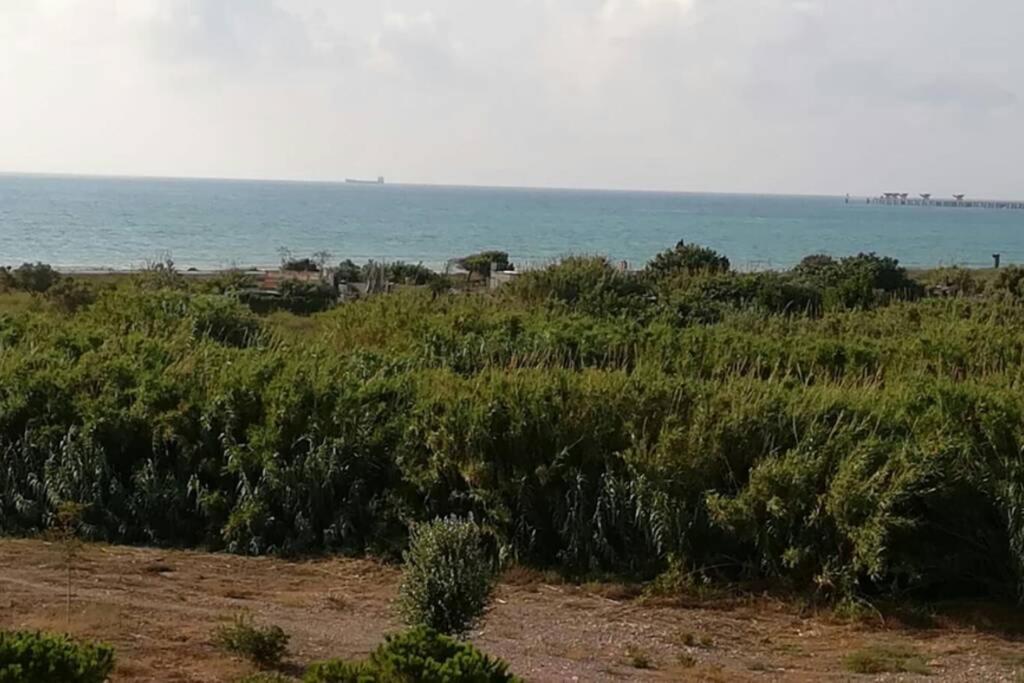 Apartamento Playa Canet 瓦伦西亚 外观 照片